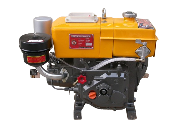 R175A